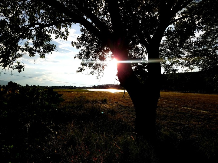 sunset