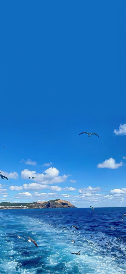daytime, sky桌布