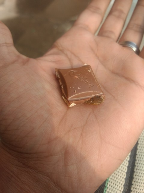 cadbury yum