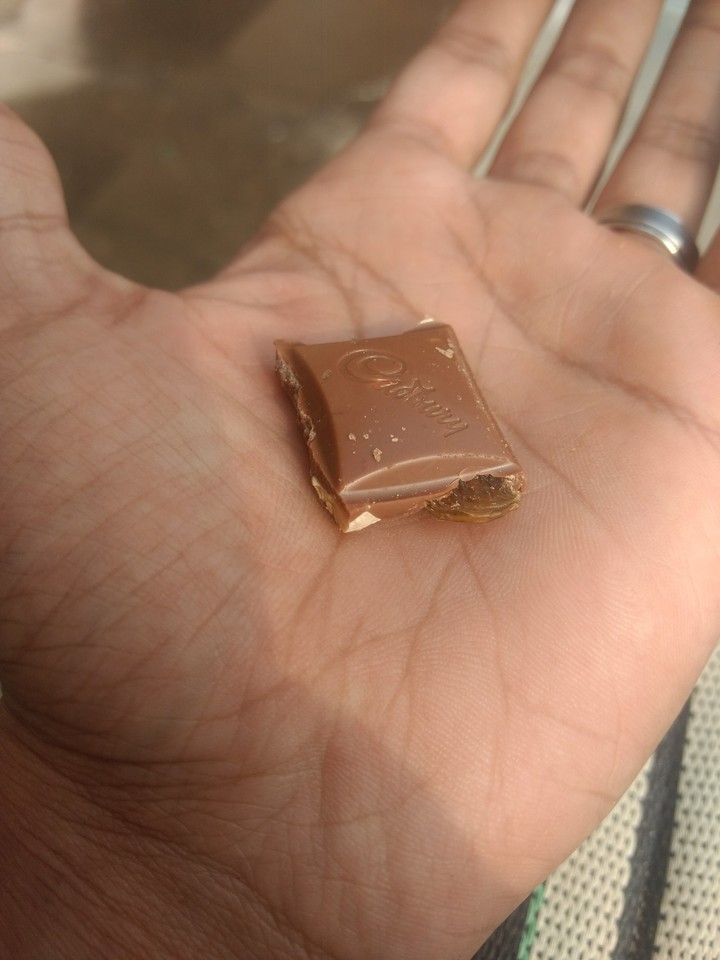 cadbury yum