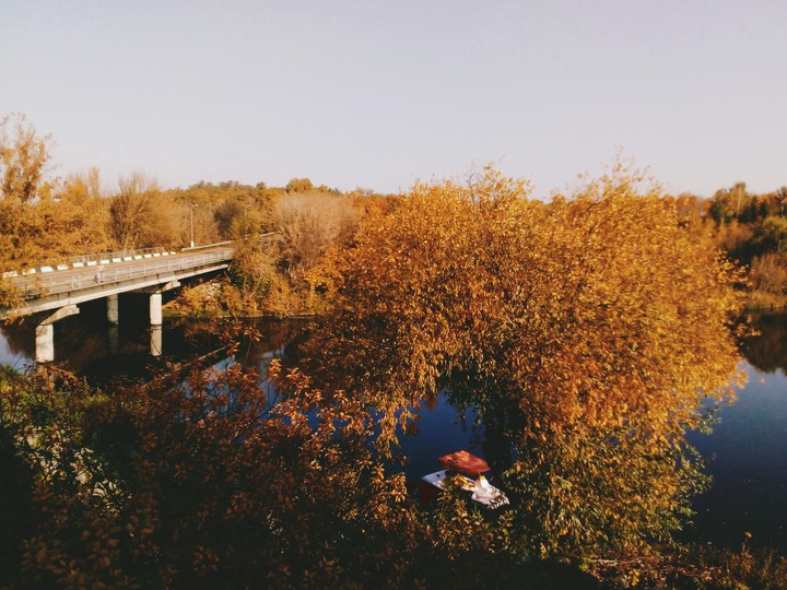 autumn
