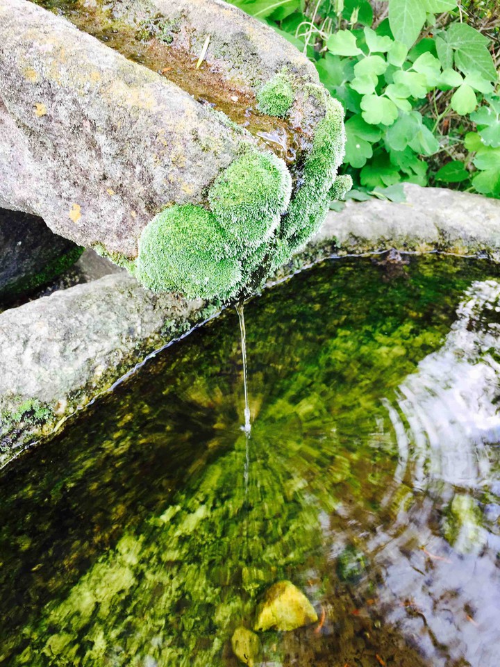 Korea Pure well