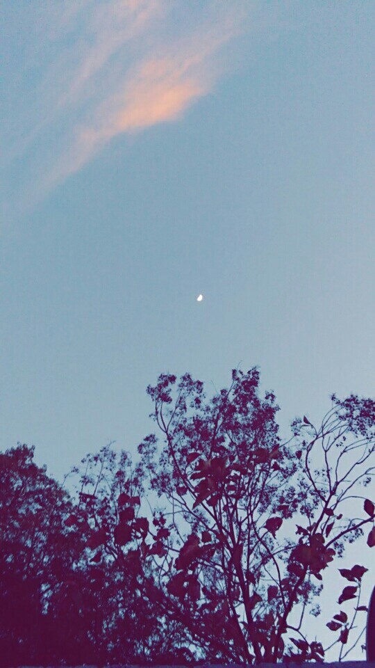 Beautiful Evening
