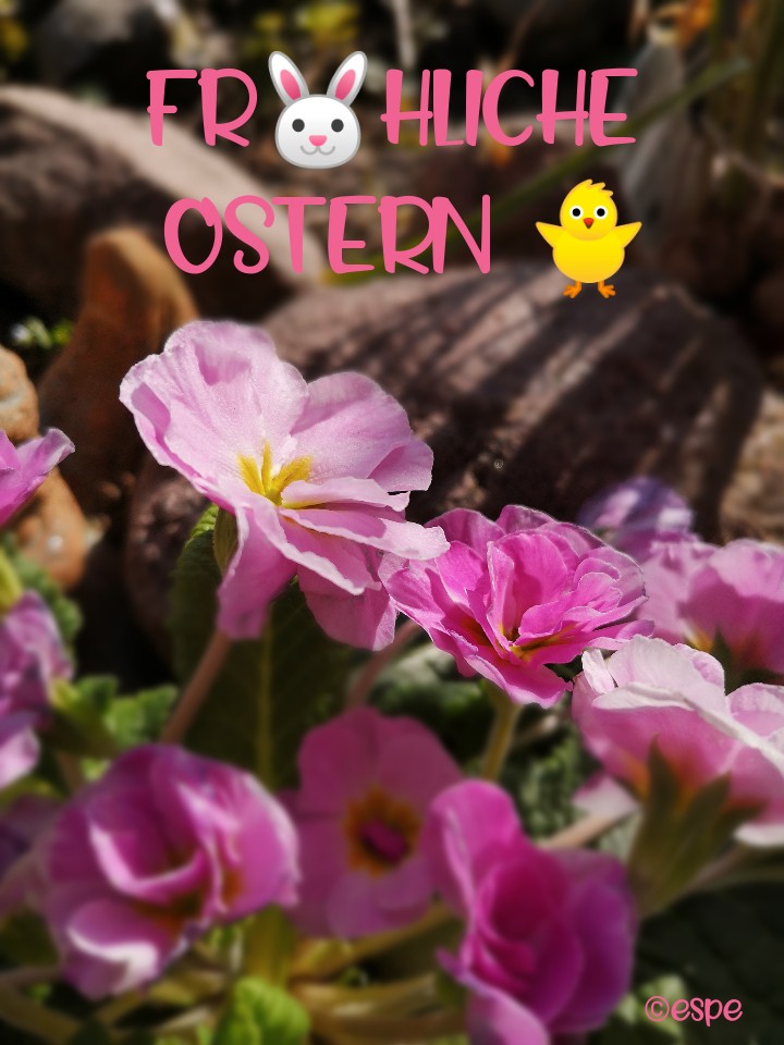 Fröhliche Ostern
