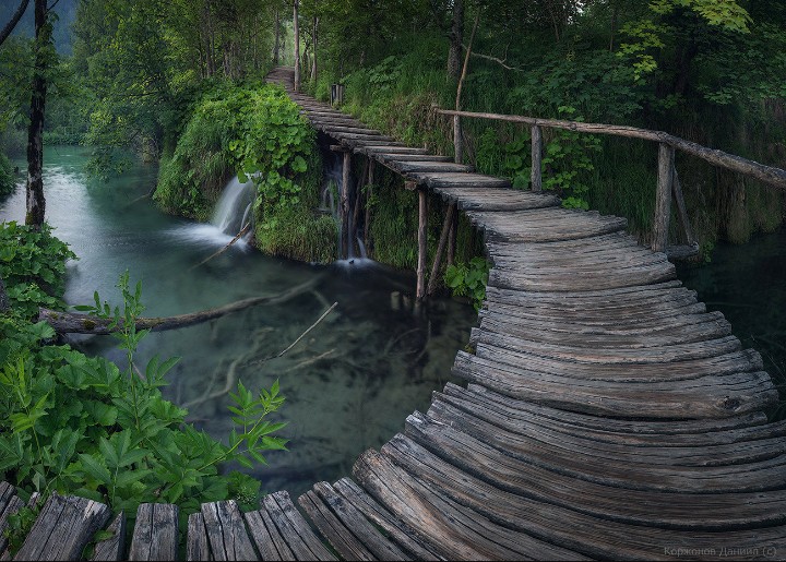 Nature