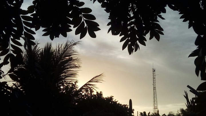 Meu quintal