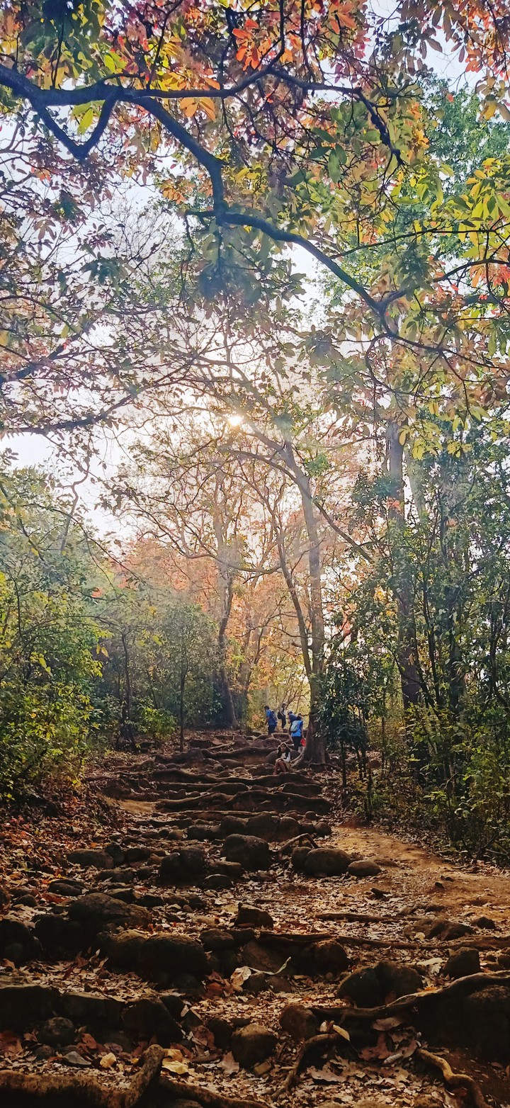 Trekking