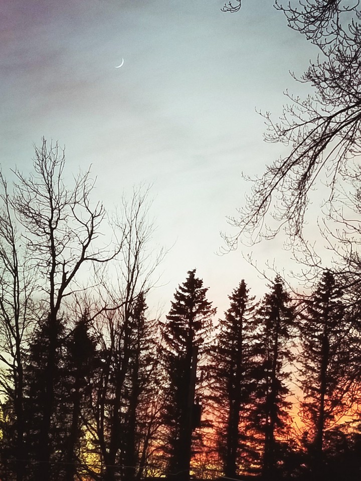 Sunset Delight