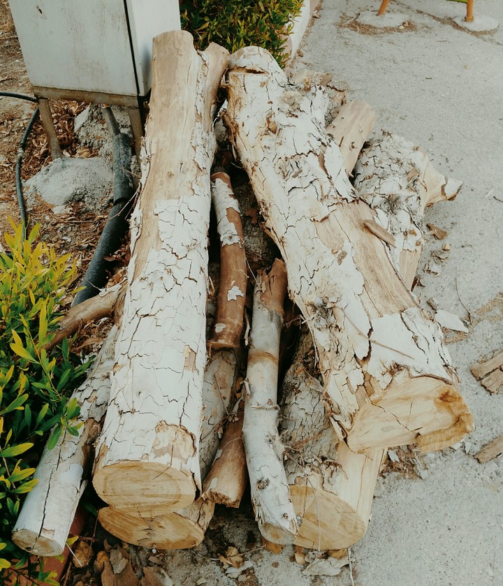 wood