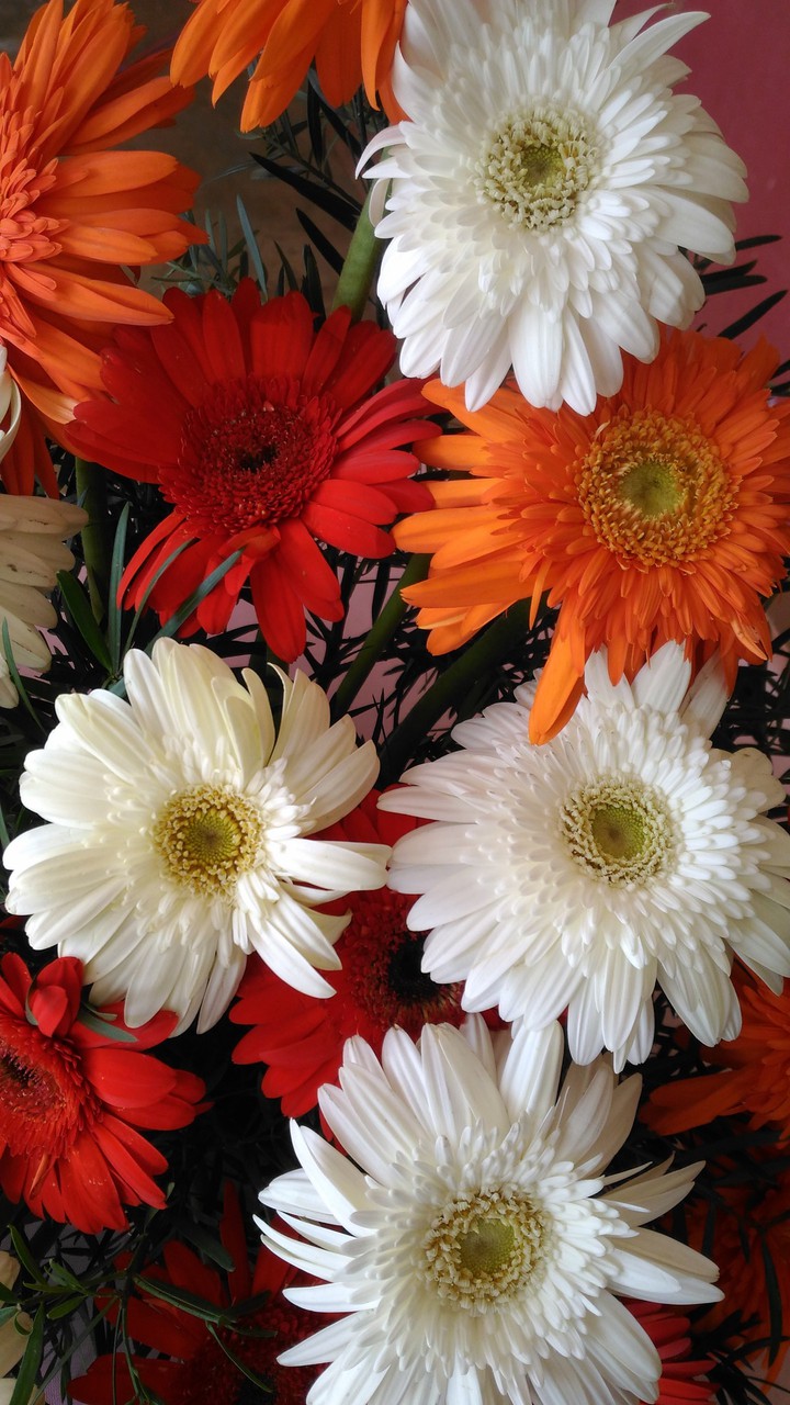flowers