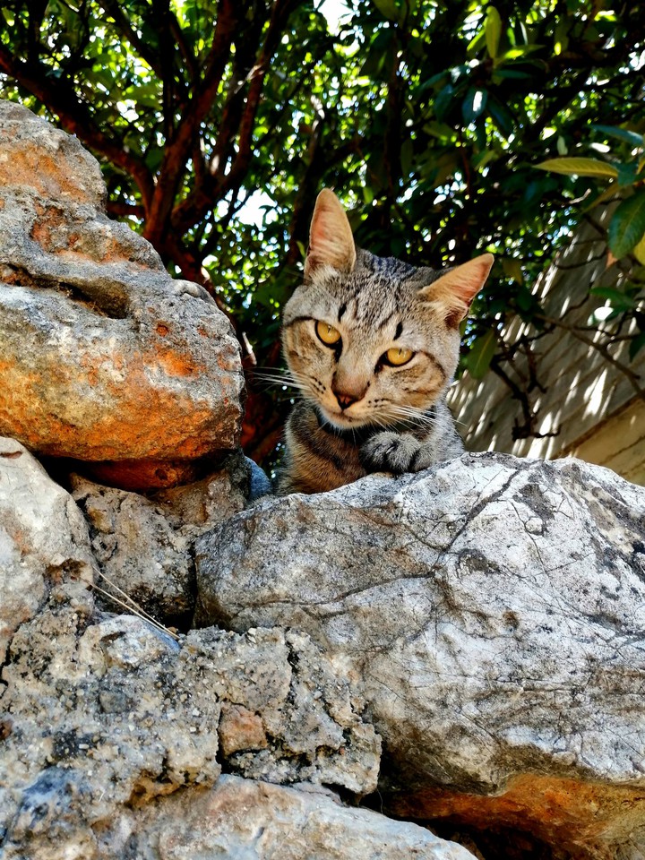 #Taby