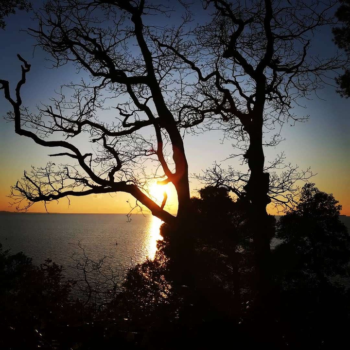 Tramonto, Trieste