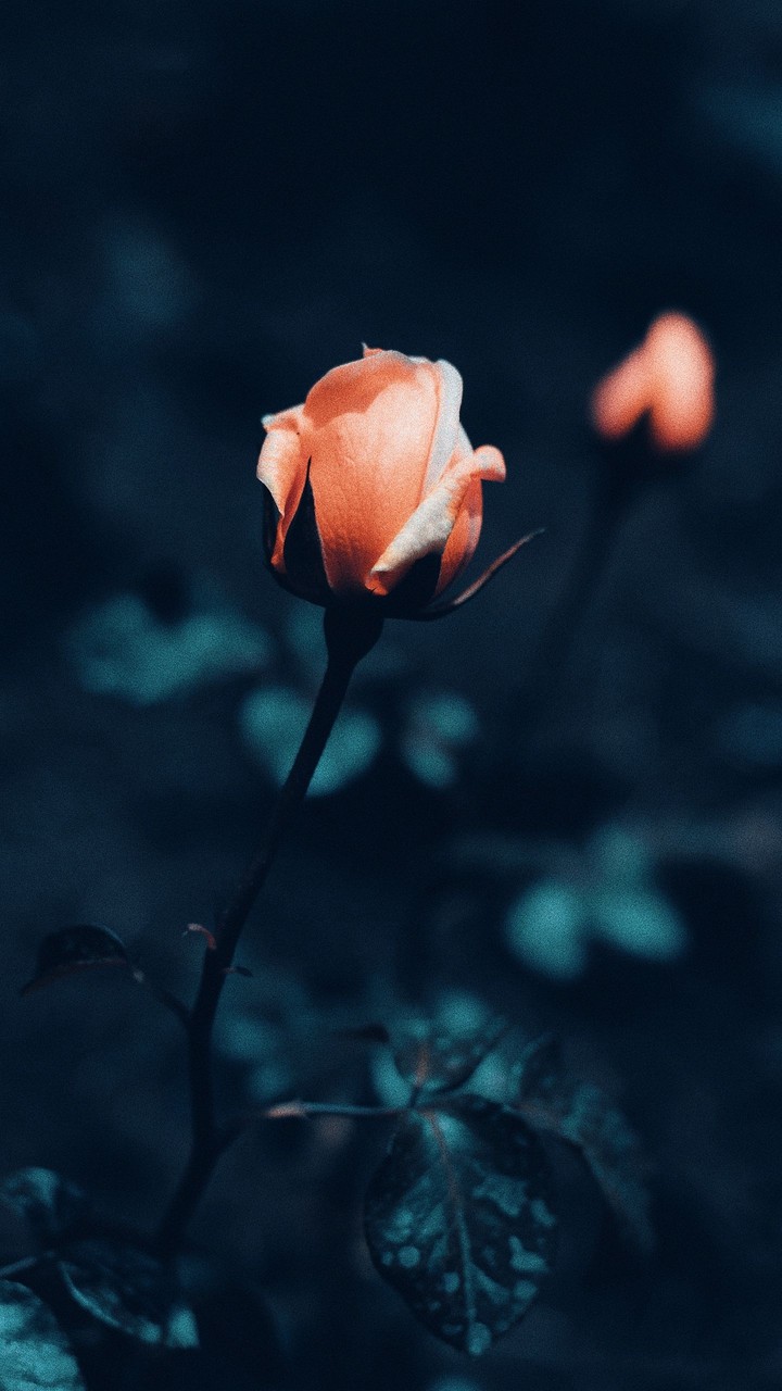 ♥️