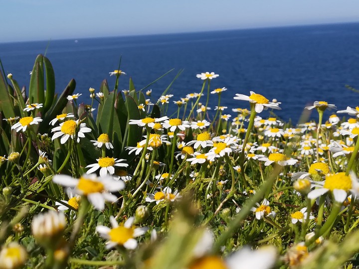quando all'odore del mare si confonde quello della primavera