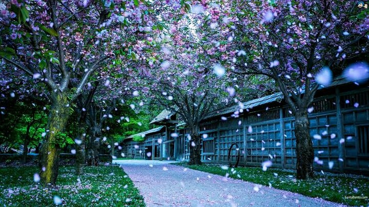 nature