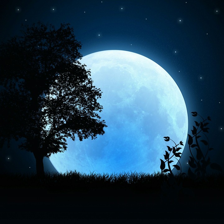 Luna