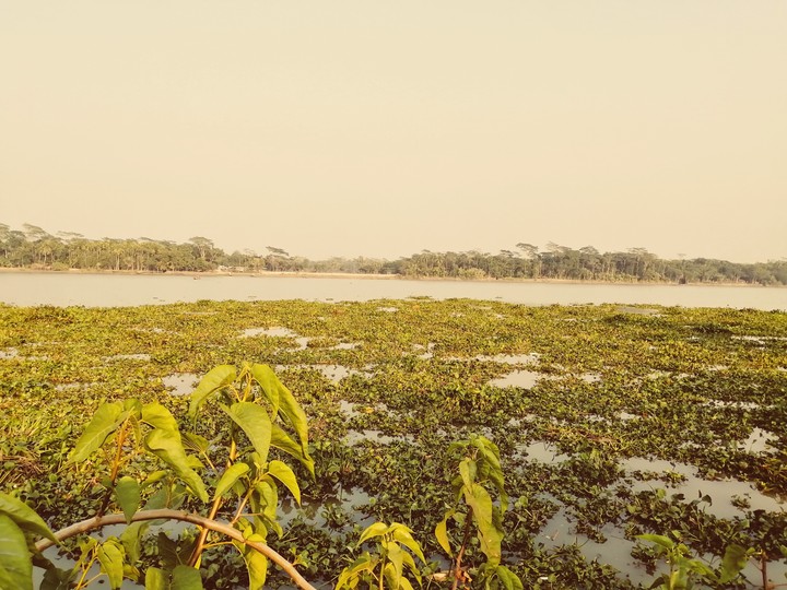 Grameen Scenery