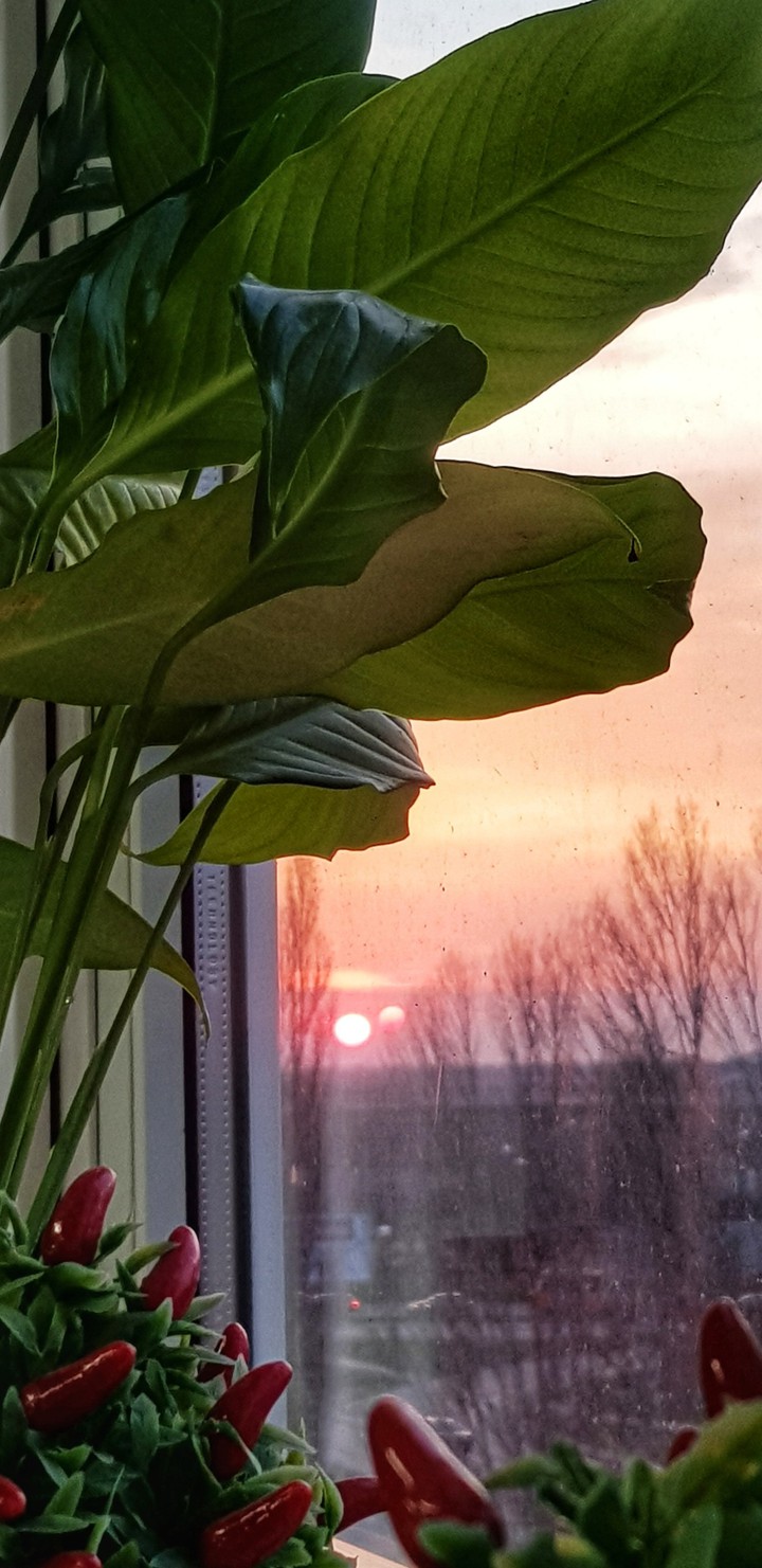 мгновение