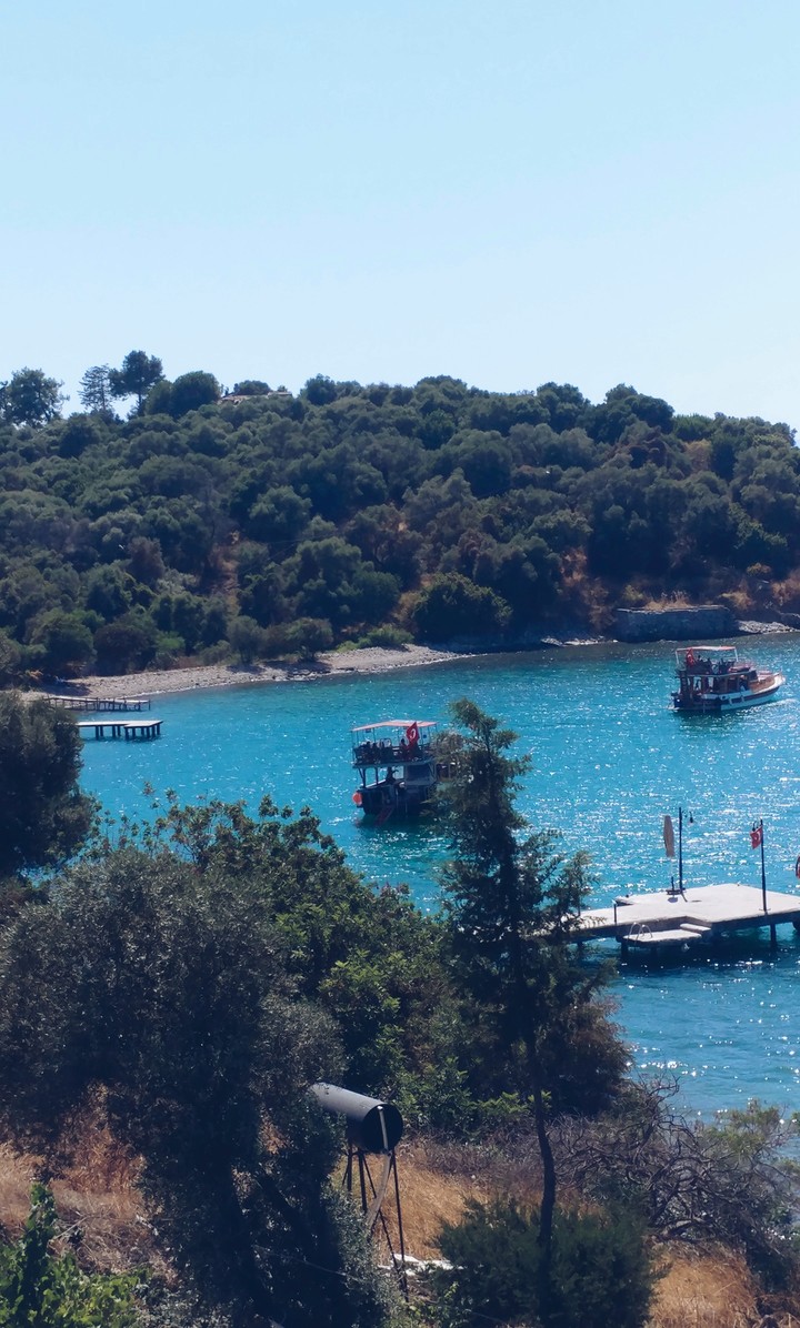 turkey