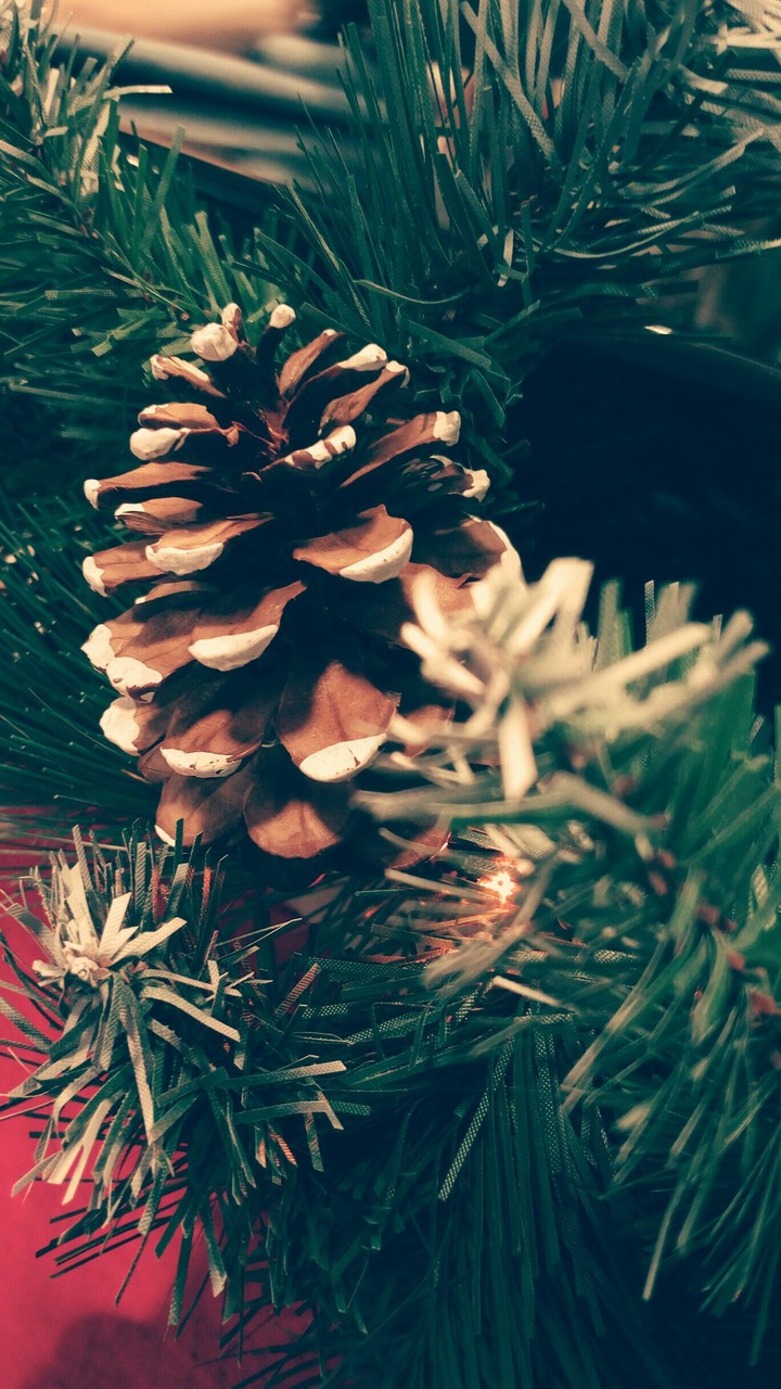 Christmas time!!