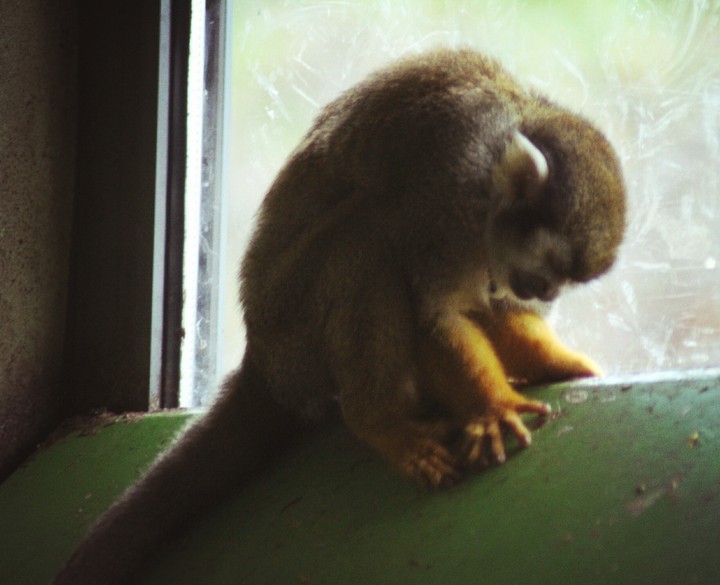 in deep thought