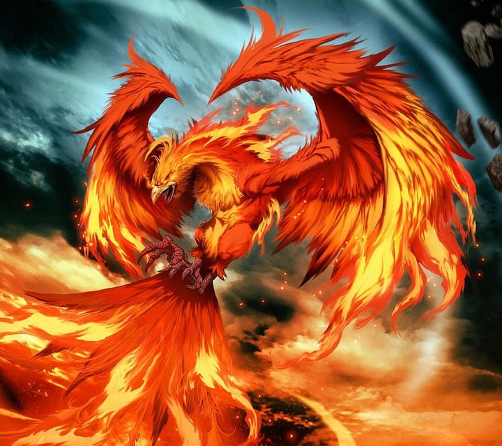 fire dragon