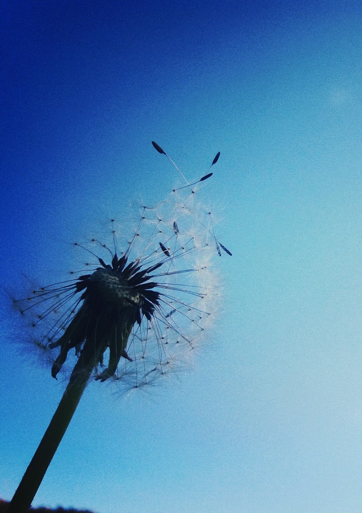 sky