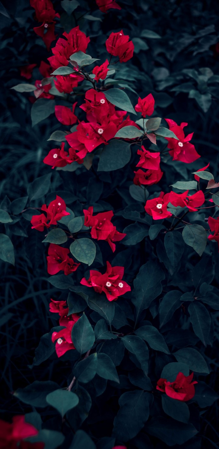 untold_feeling