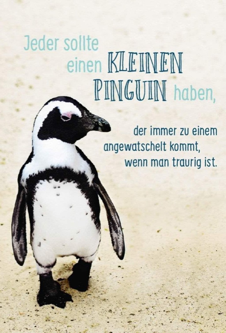 Spruch