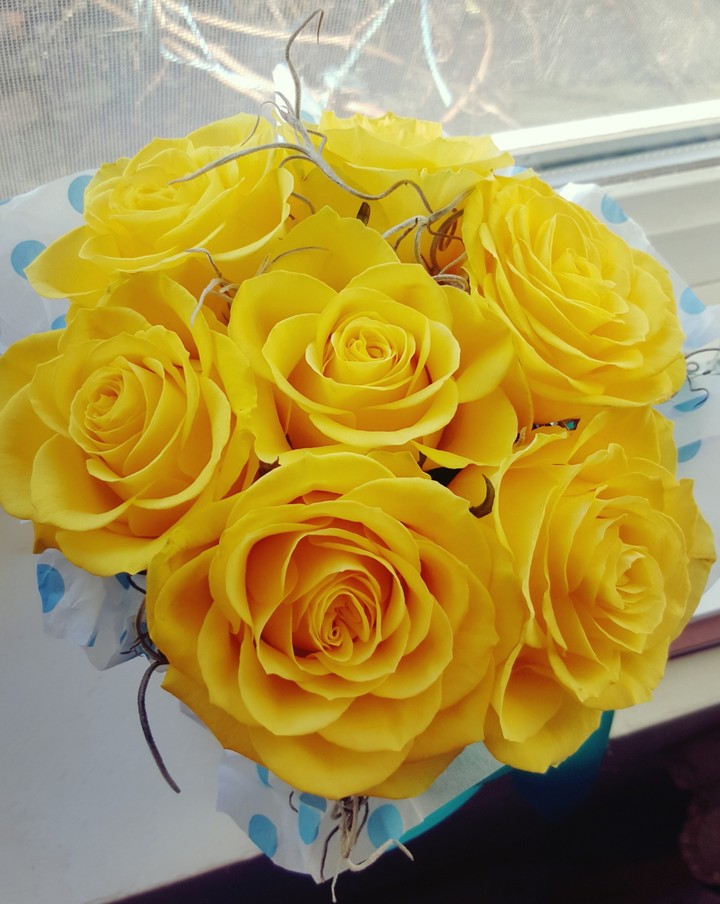 rose
