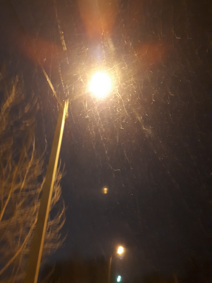 снег