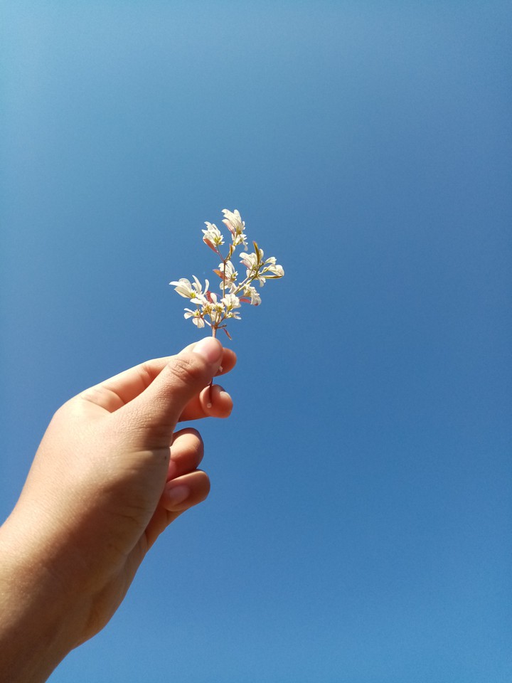 Nubes en el cielo