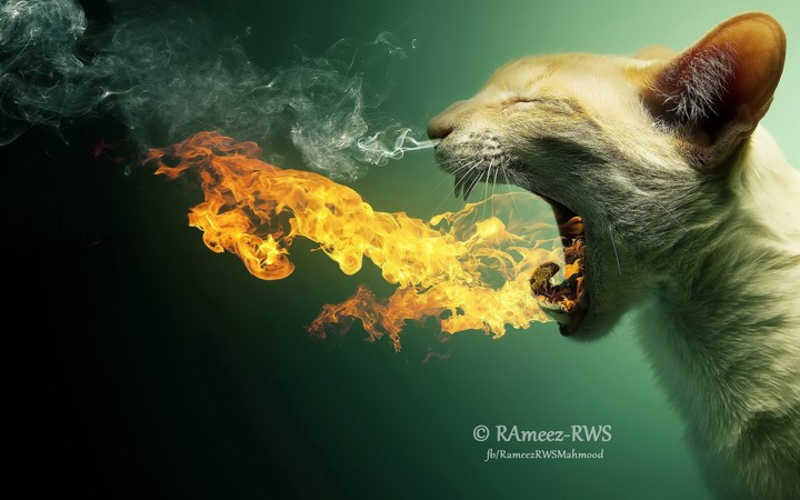 fire