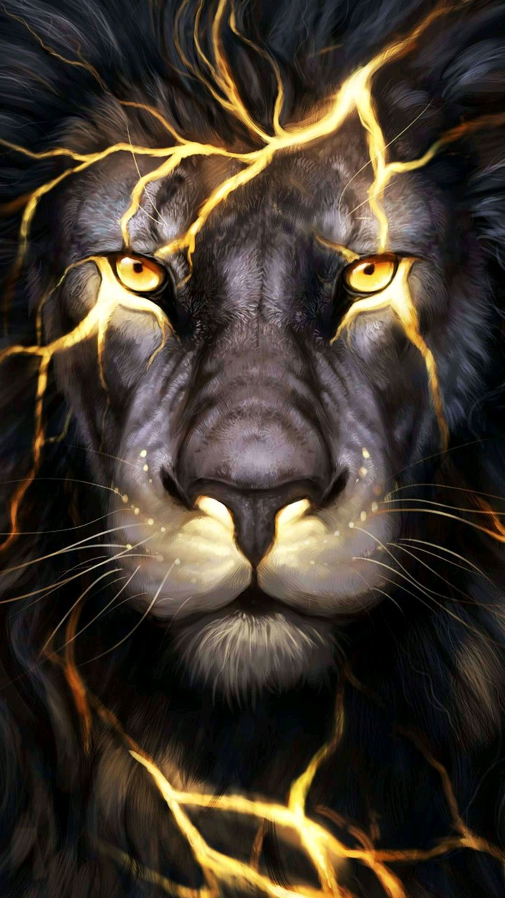 lion, fire, visual, art