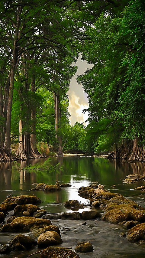 beauty of nature