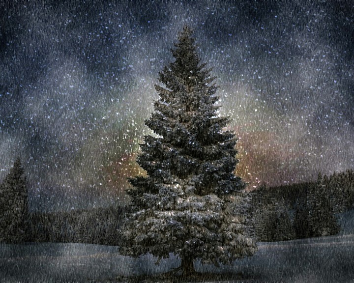 winter