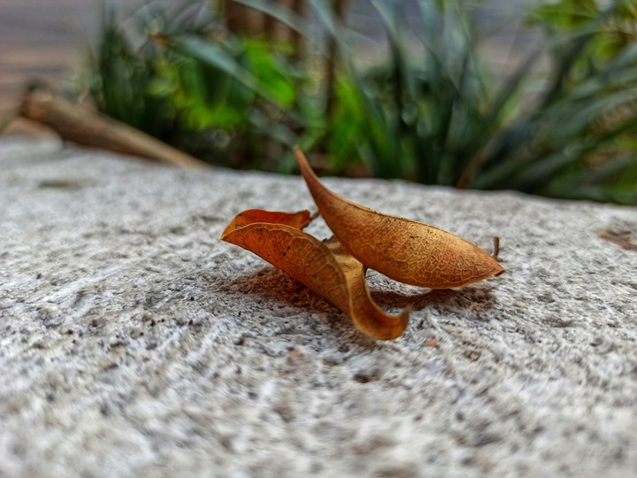 Nature ??