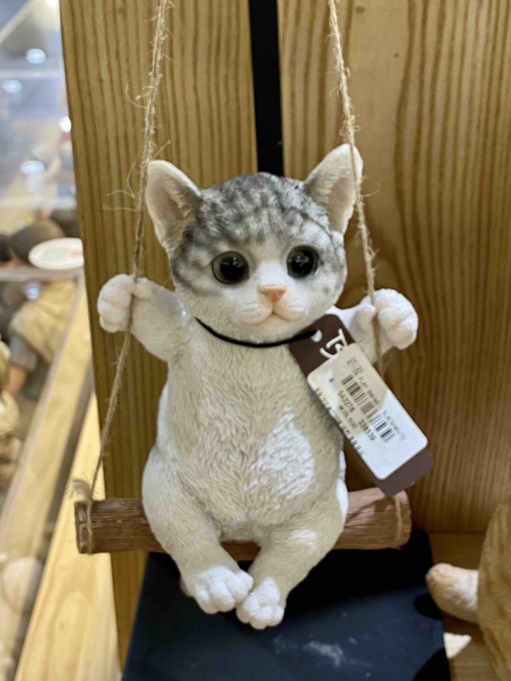 cat interior