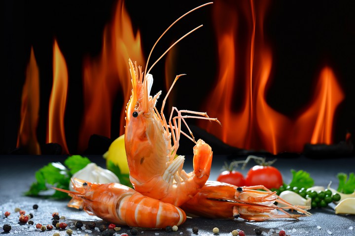 shrimp