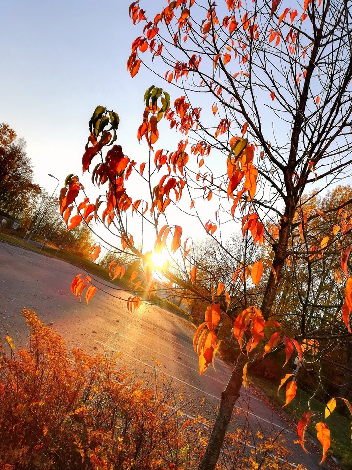 Autumn