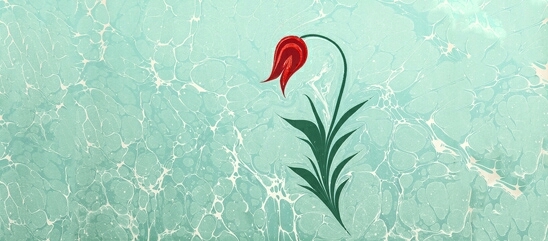 Ebru sanatı