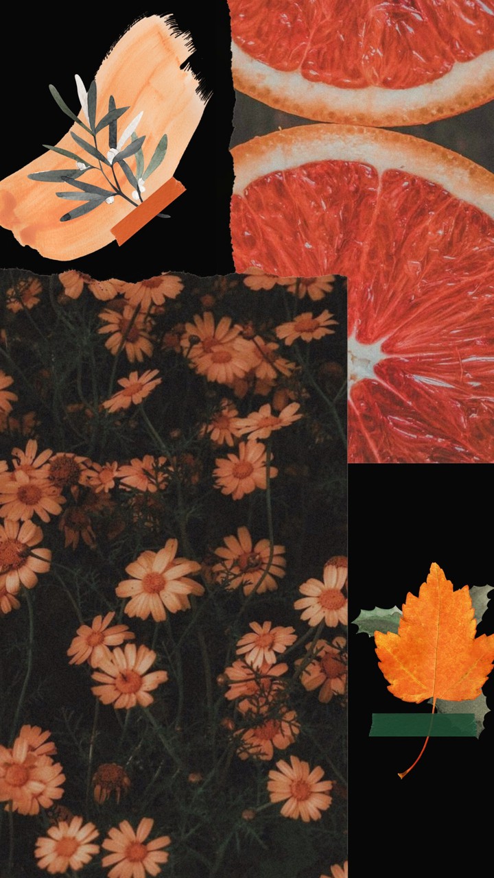 turuncu ve yeşil  /  orange and green