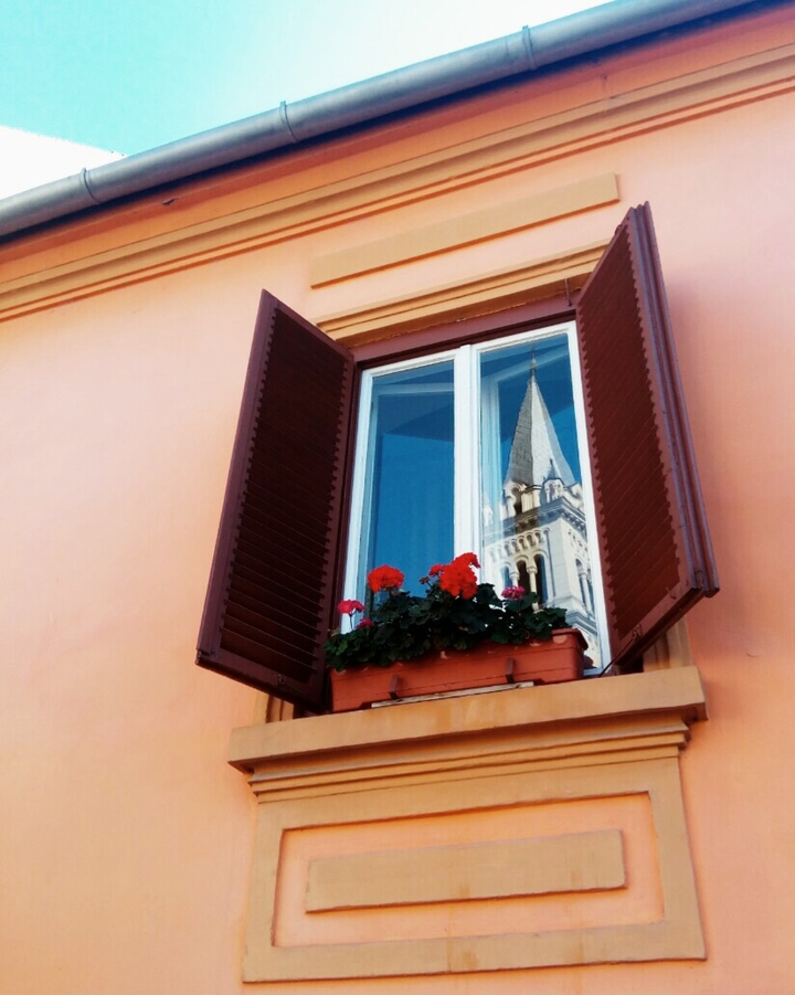 window