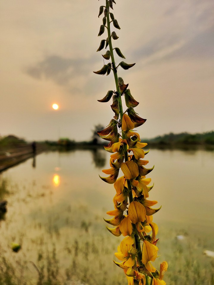 a sunset