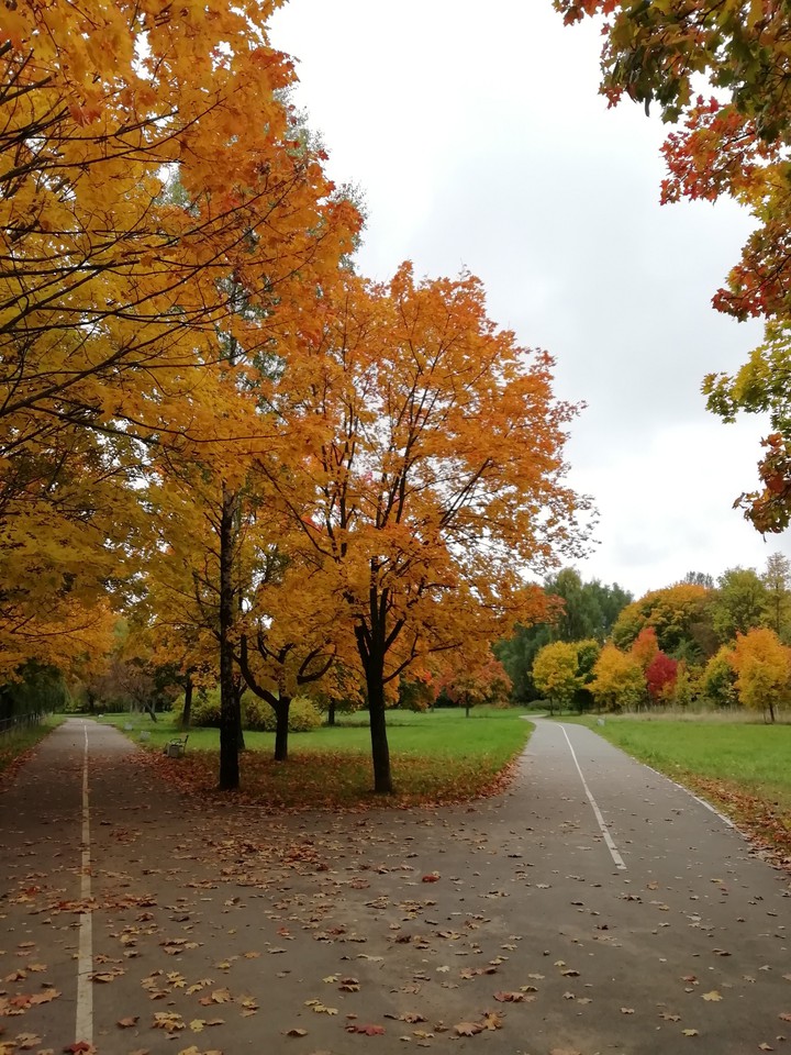 autumn