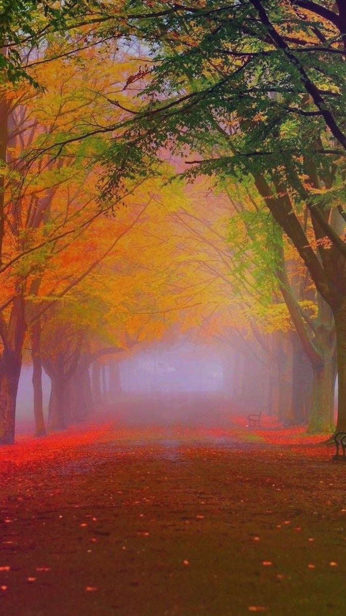 wonderful pic