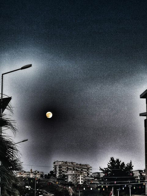Dark