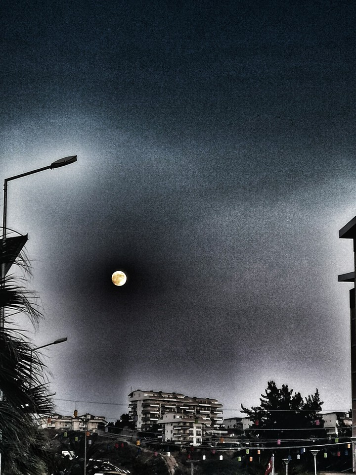 Dark