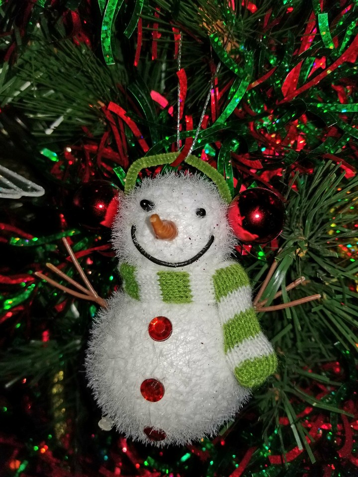 A very happy Snowman!