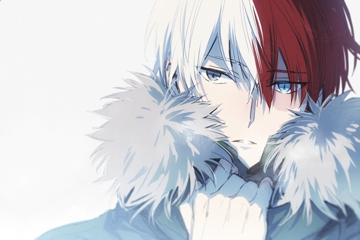 Todoroki Shoto